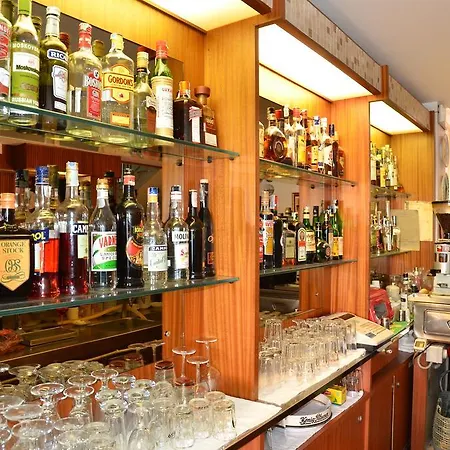 Hotel Betulla-2
